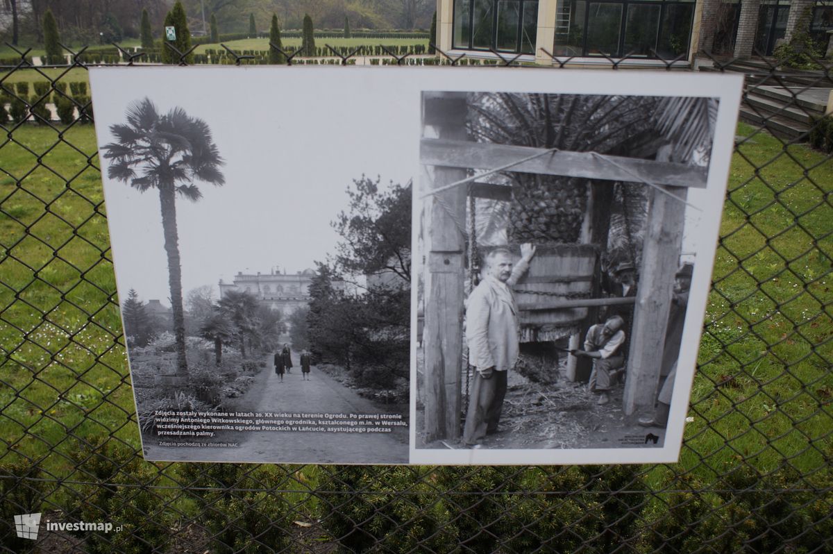 Zdjęcie Ogród Botaniczny fot. Damian Daraż 