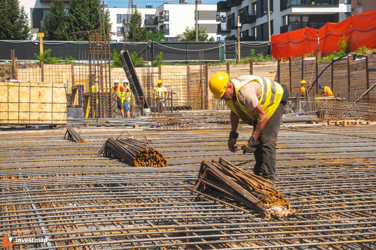 Zdjęcie Goździków fot. PROFIT Development