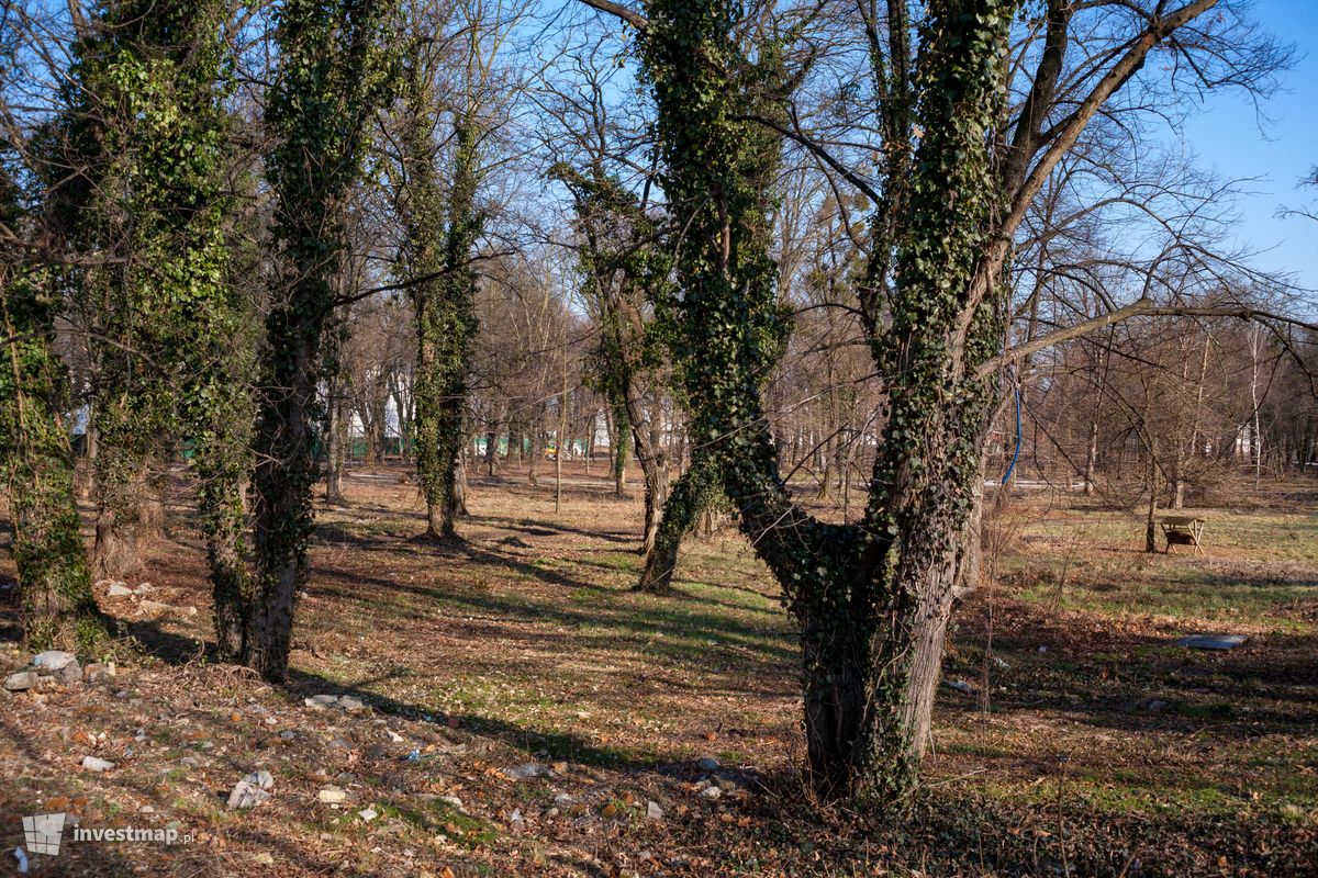 Zdjęcie [Wrocław] Rewitalizacja Parku na Tarnogaju 