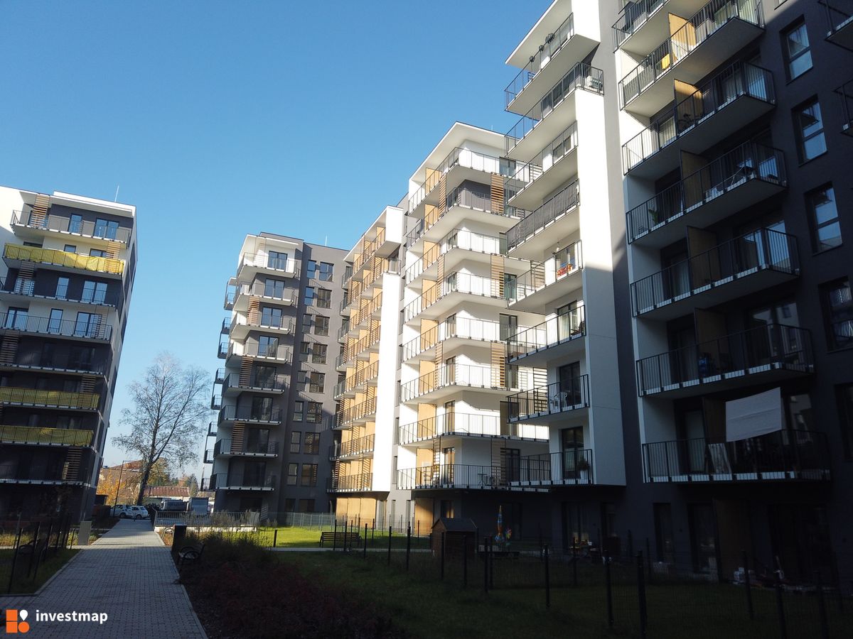 Zdjęcie Viva Piast fot. Damian Daraż 