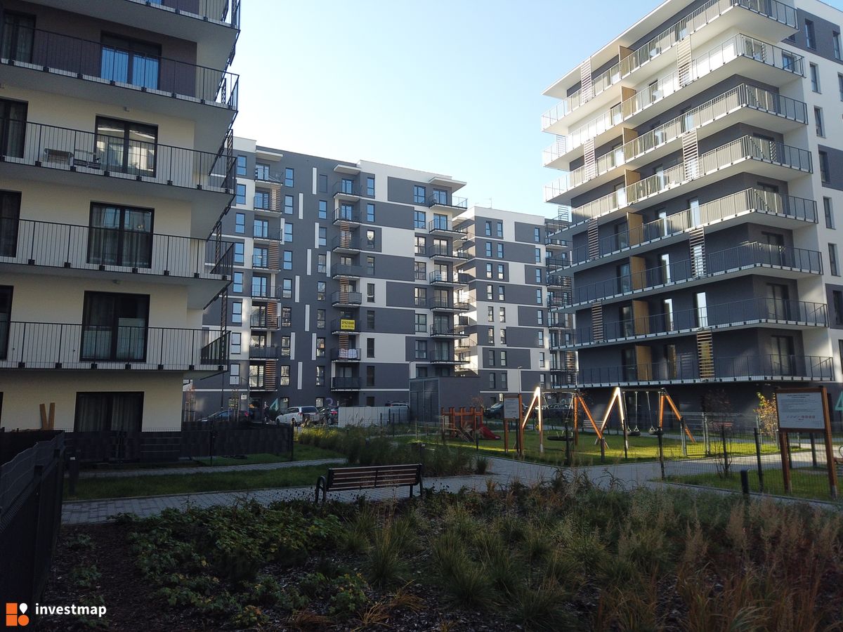 Zdjęcie Viva Piast fot. Damian Daraż 