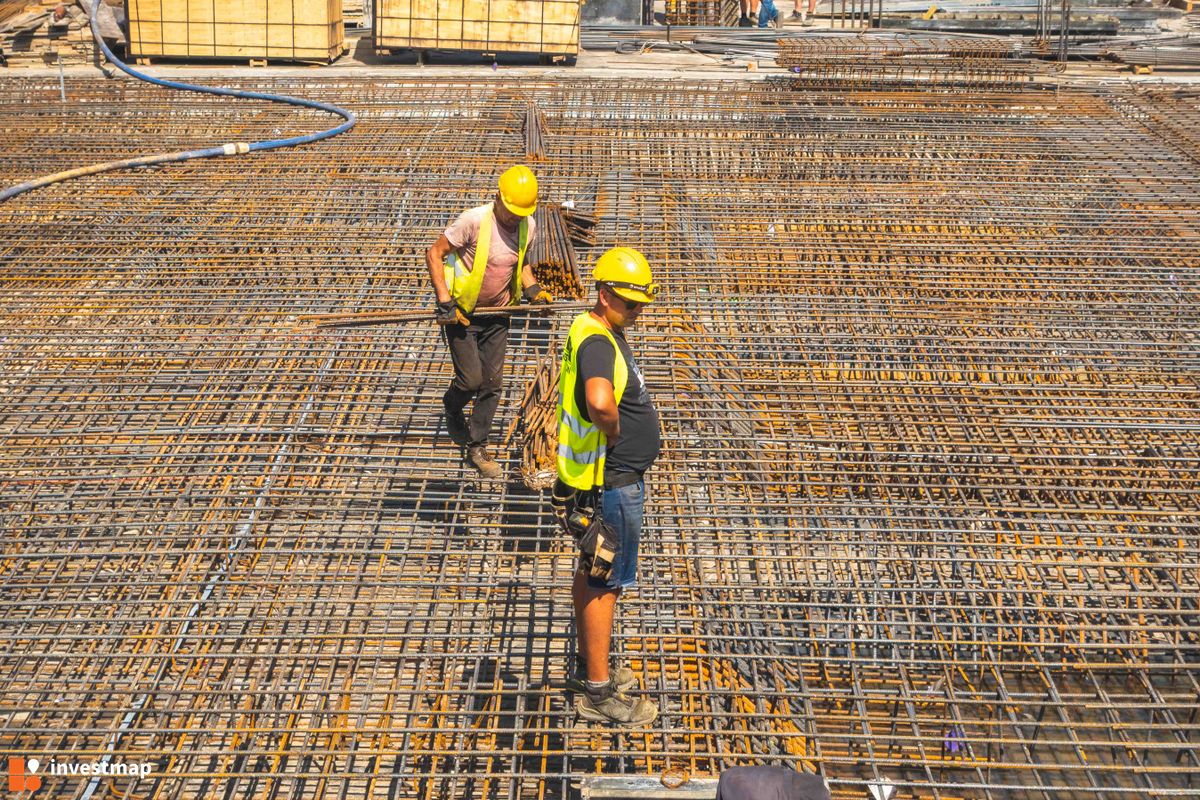 Zdjęcie Goździków fot. PROFIT Development