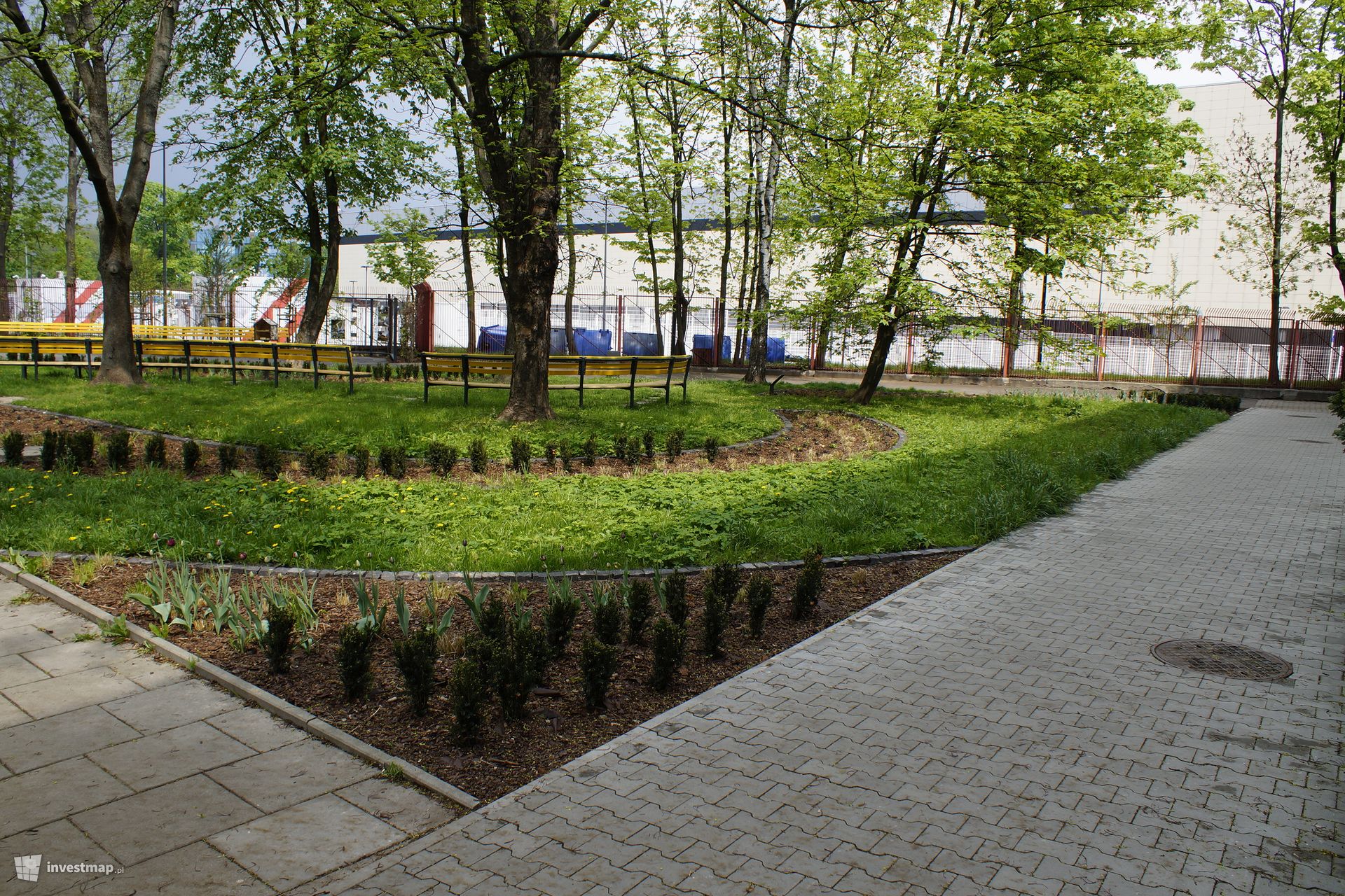 Park, ul. Kraszewskiego