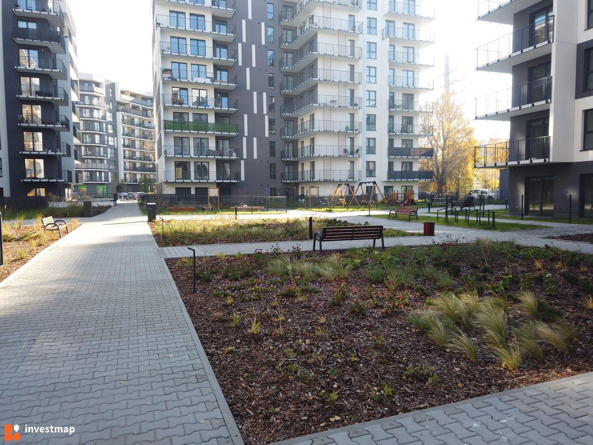 Zdjęcie Viva Piast fot. Damian Daraż 