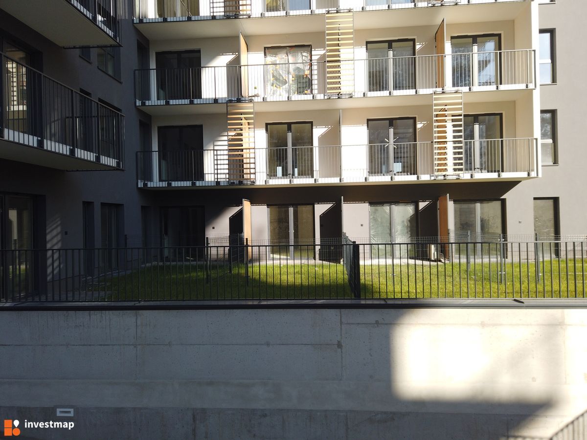 Zdjęcie Viva Piast fot. Damian Daraż 