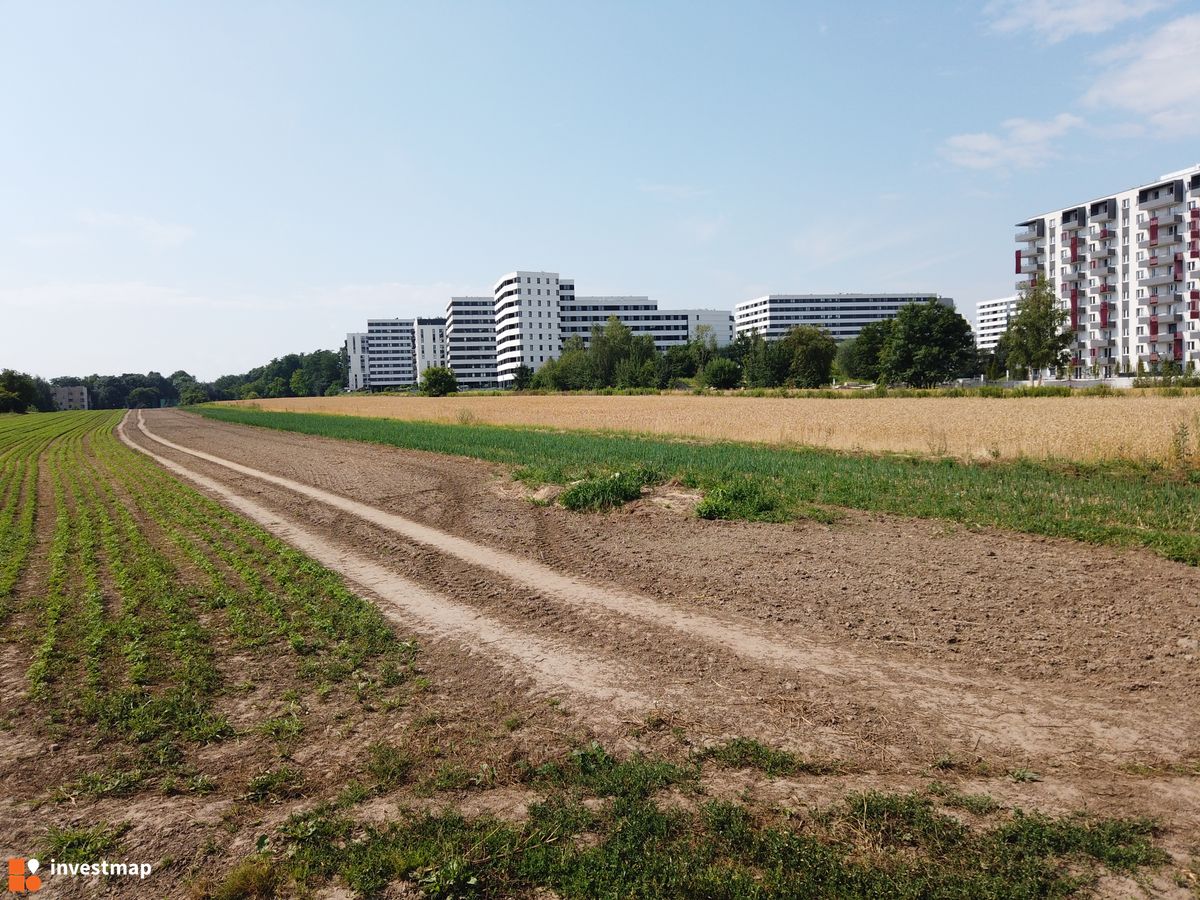 Zdjęcie Piasta Park fot. Damian Daraż 