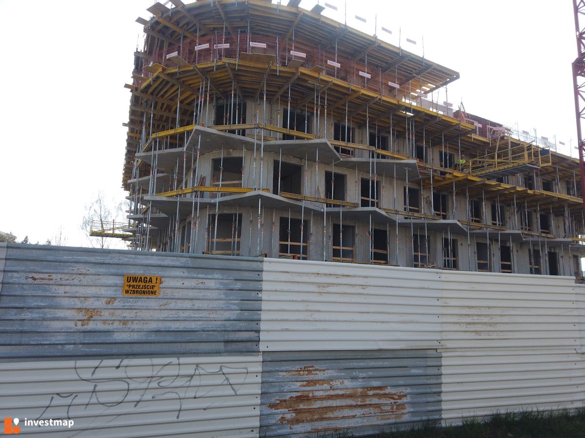 Zdjęcie Drago fot. Damian Daraż 