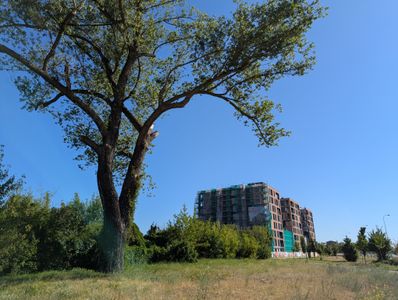 fot. Jakub Zazula