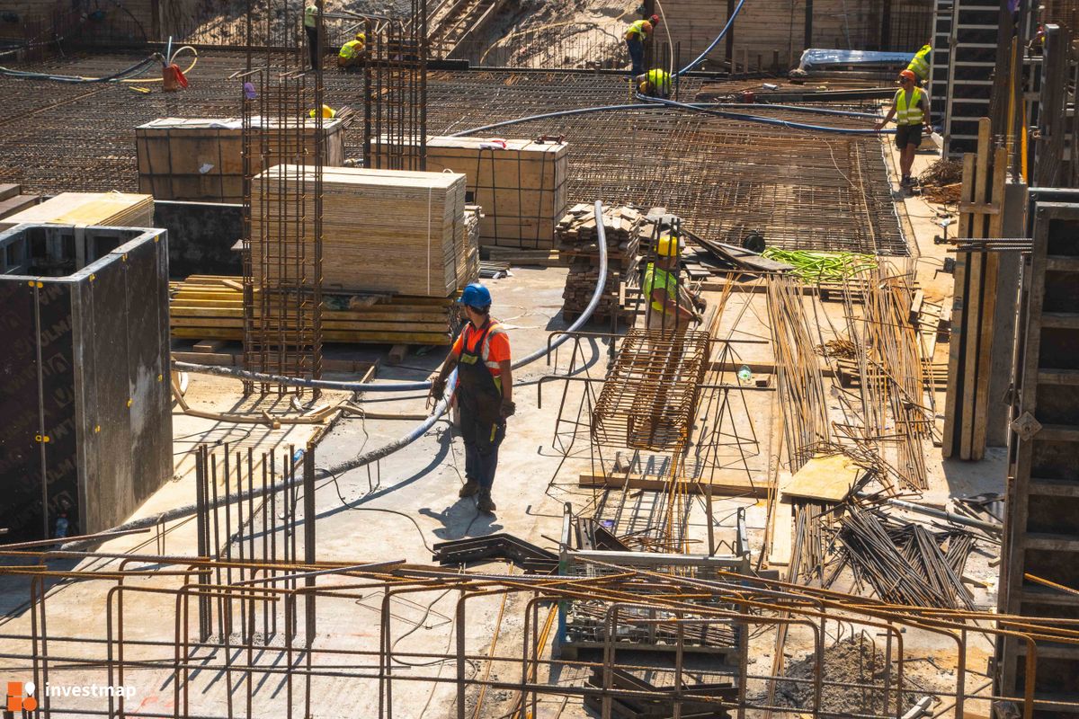 Zdjęcie Goździków fot. PROFIT Development