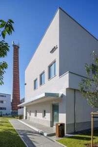Orzech