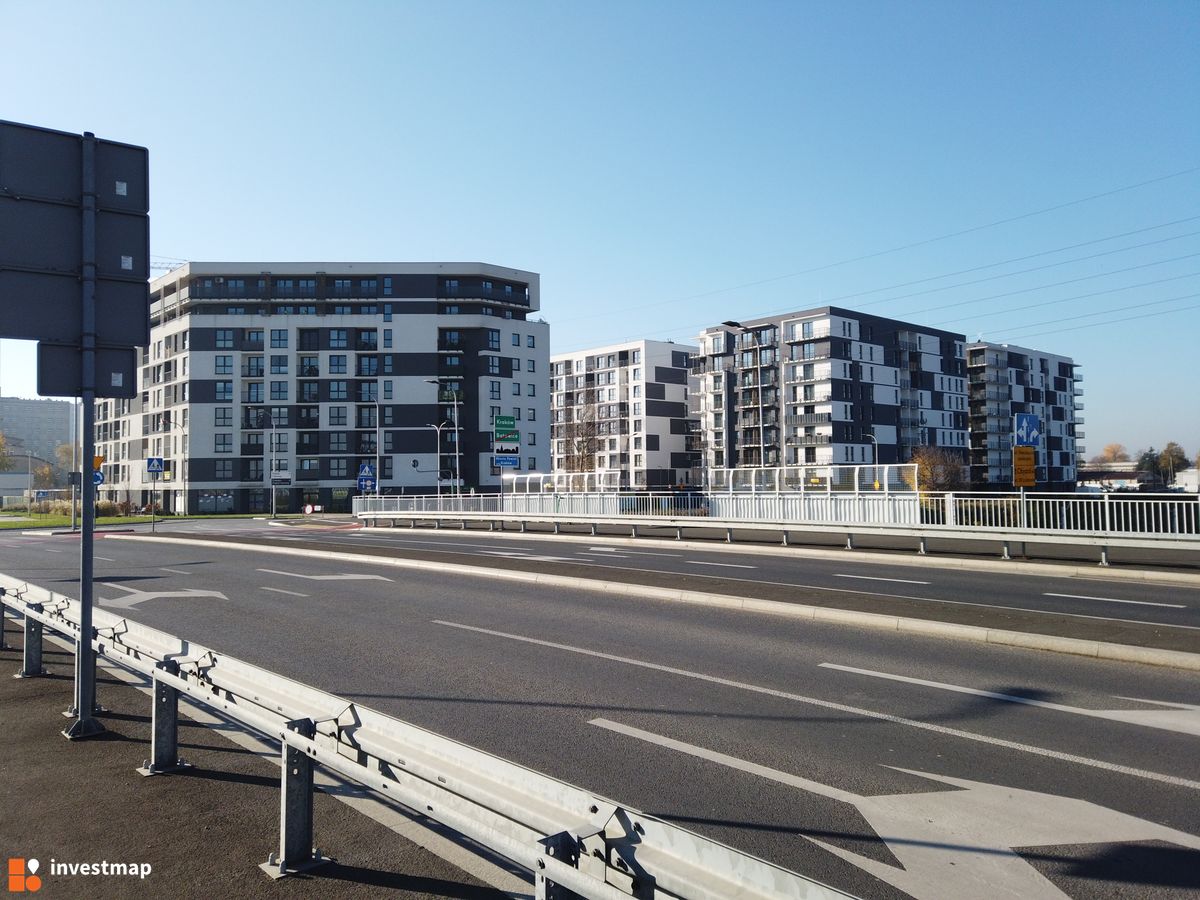 Zdjęcie Viva Piast fot. Damian Daraż 