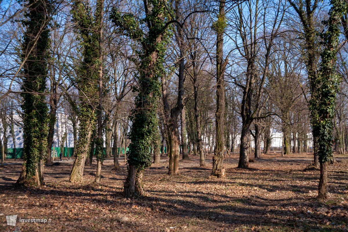 Zdjęcie [Wrocław] Rewitalizacja Parku na Tarnogaju 