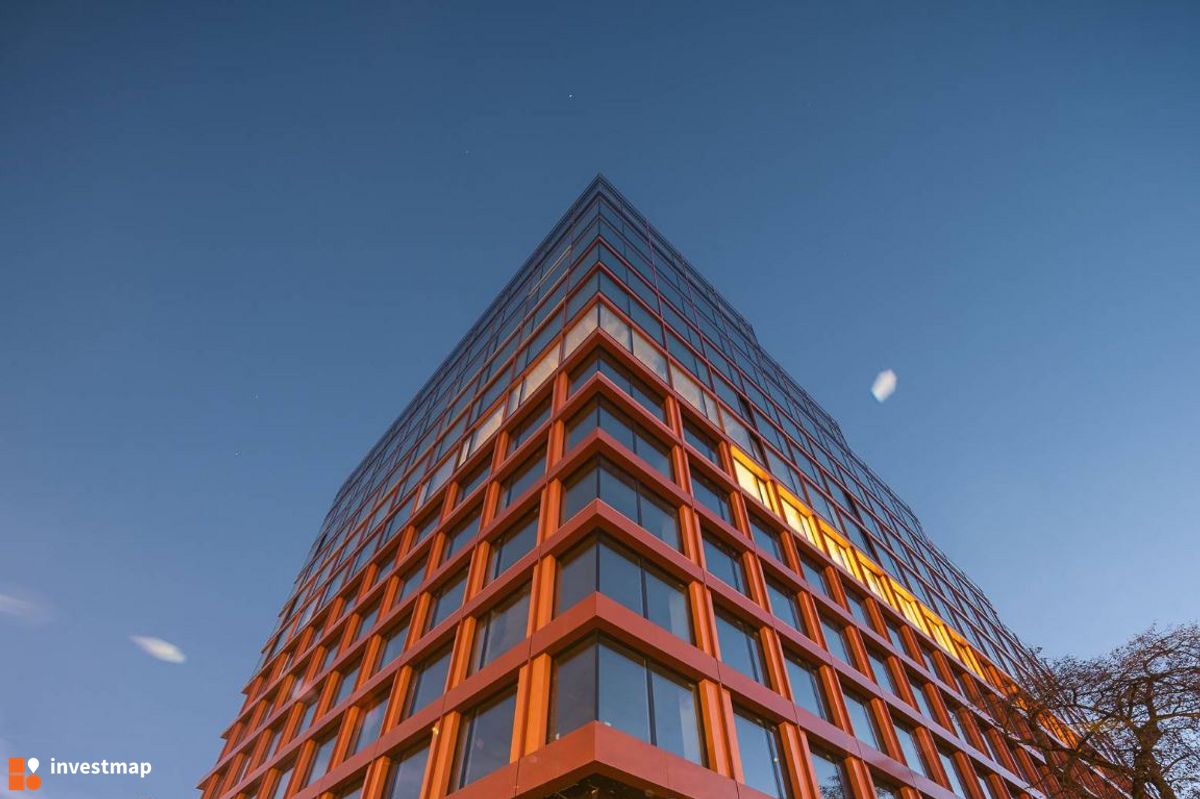 Zdjęcie Swobodna SPOT fot. Orzech 