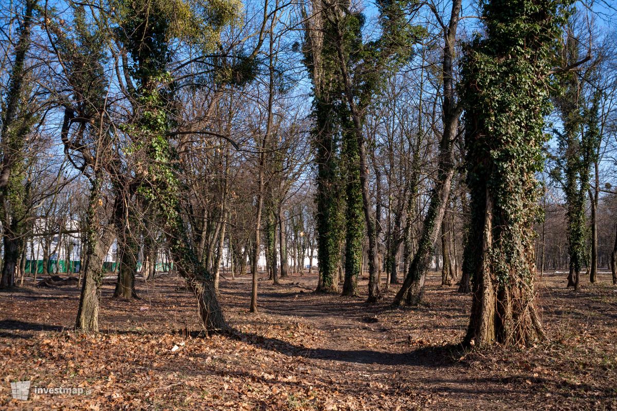 Zdjęcie [Wrocław] Rewitalizacja Parku na Tarnogaju 