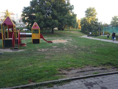 fot. Damian Daraż