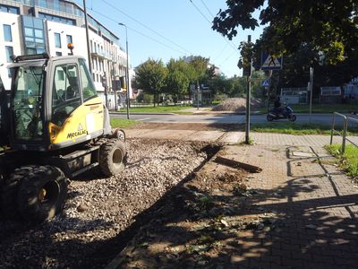 fot. Damian Daraż