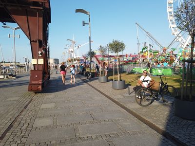 fot. Damian Daraż