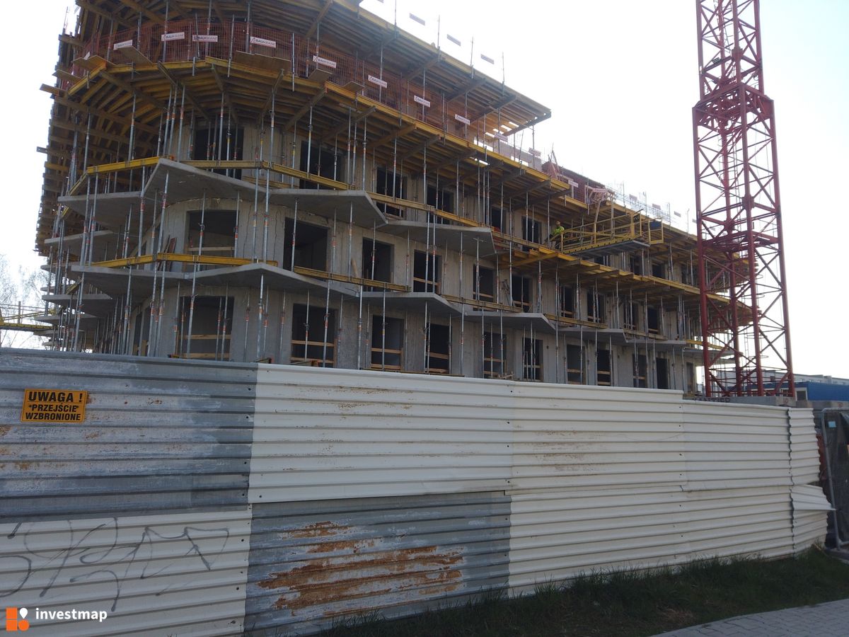 Zdjęcie Drago fot. Damian Daraż 