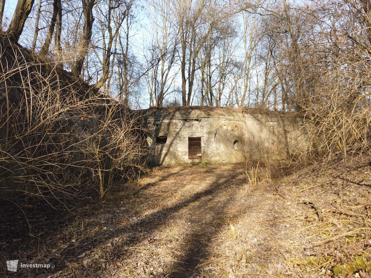 Zdjęcie Fort 49a Dłubnia fot. Damian Daraż 