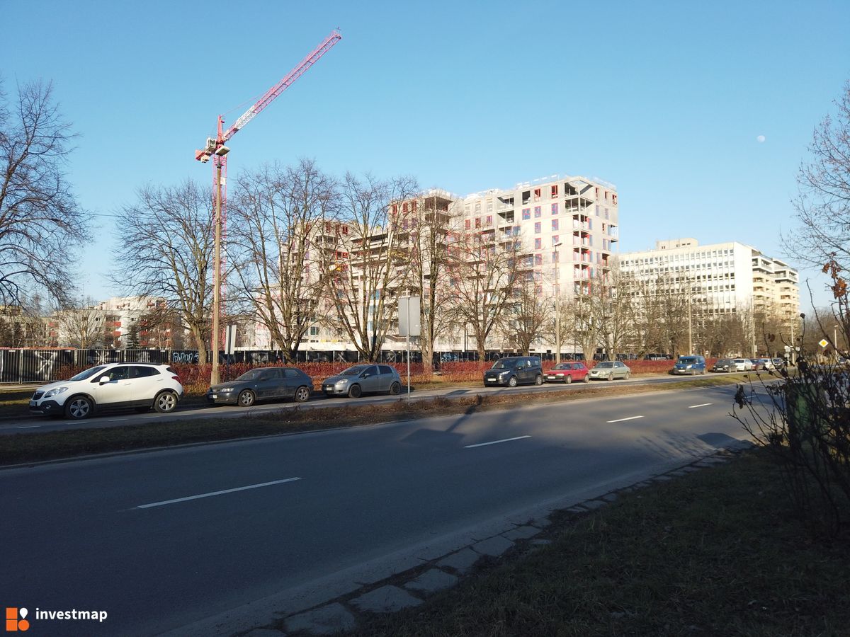 Zdjęcie Gigant fot. Damian Daraż 