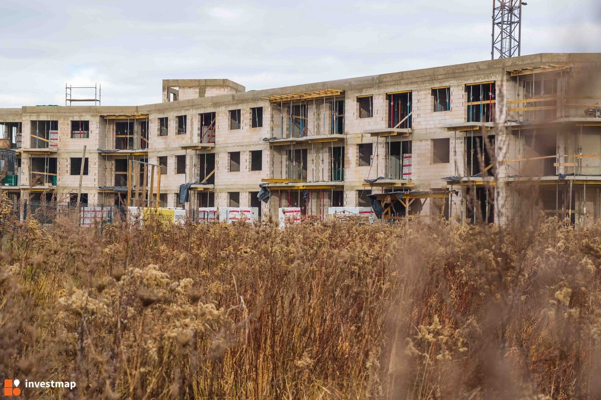 Zdjęcie Waniliowa fot. PROFIT Development