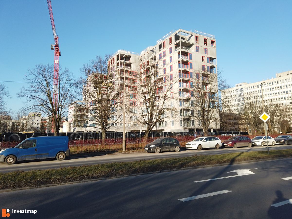 Zdjęcie Gigant fot. Damian Daraż 