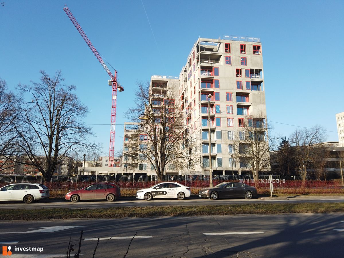 Zdjęcie Gigant fot. Damian Daraż 