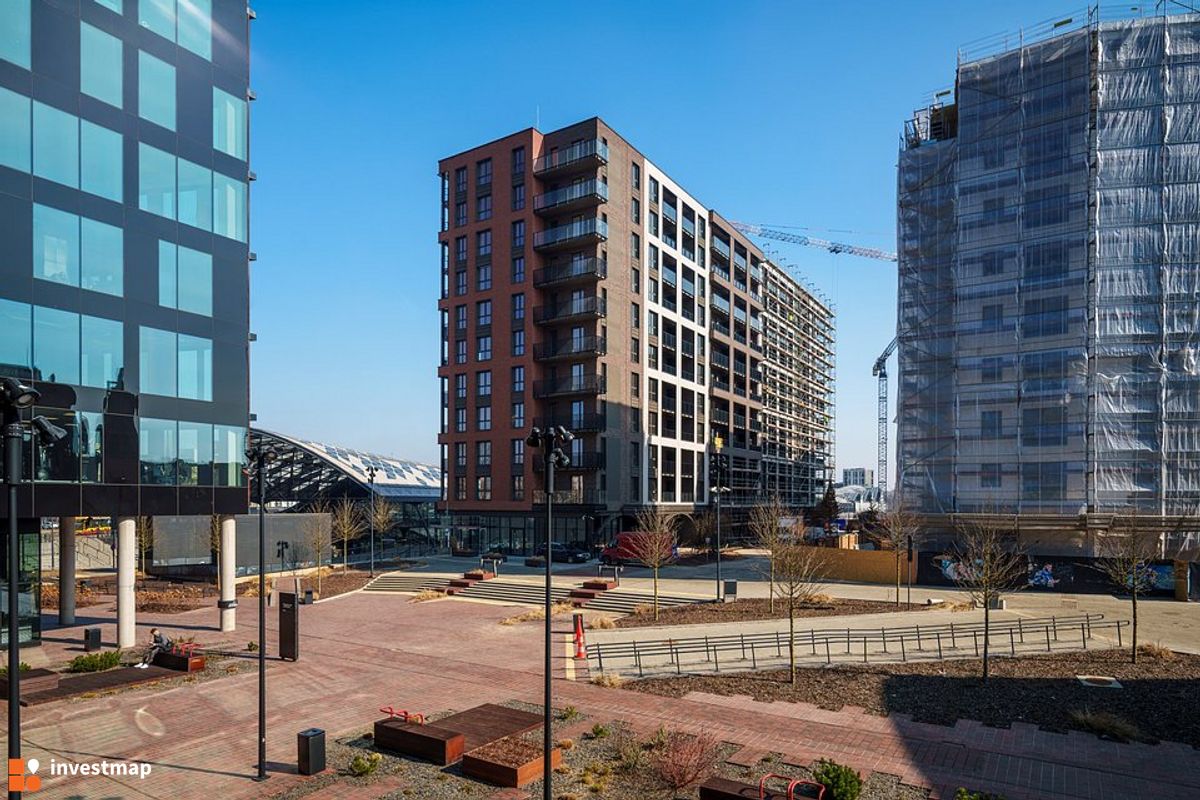 Zdjęcie Flow fot. Orzech 