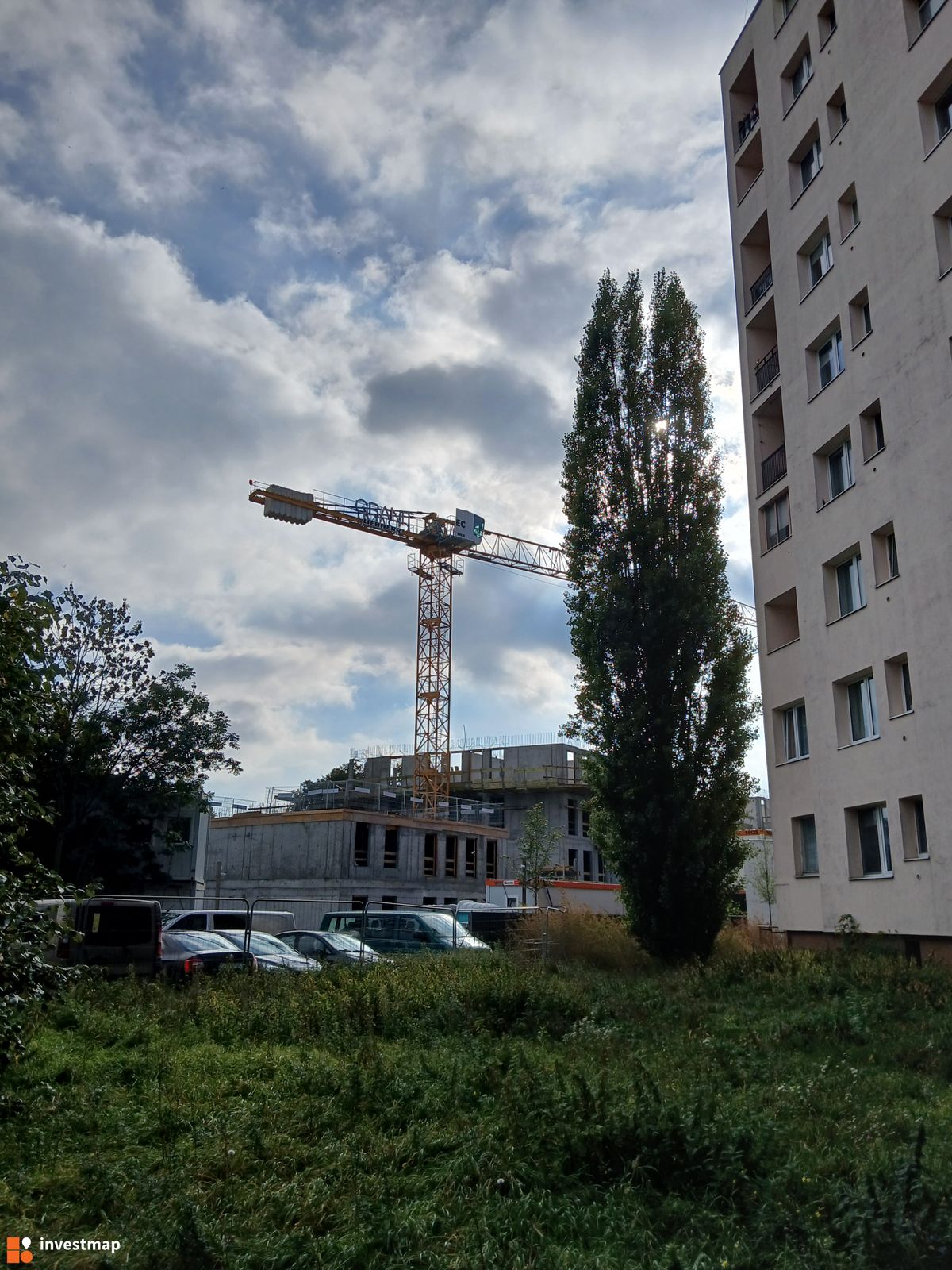 Zdjęcie Jaskółcza fot. Wojciech Jenda