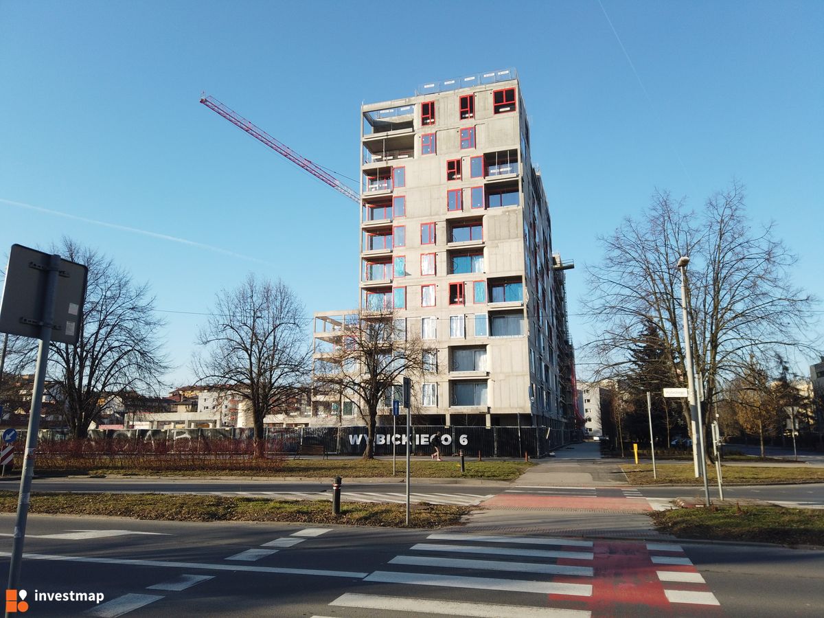 Zdjęcie Gigant fot. Damian Daraż 