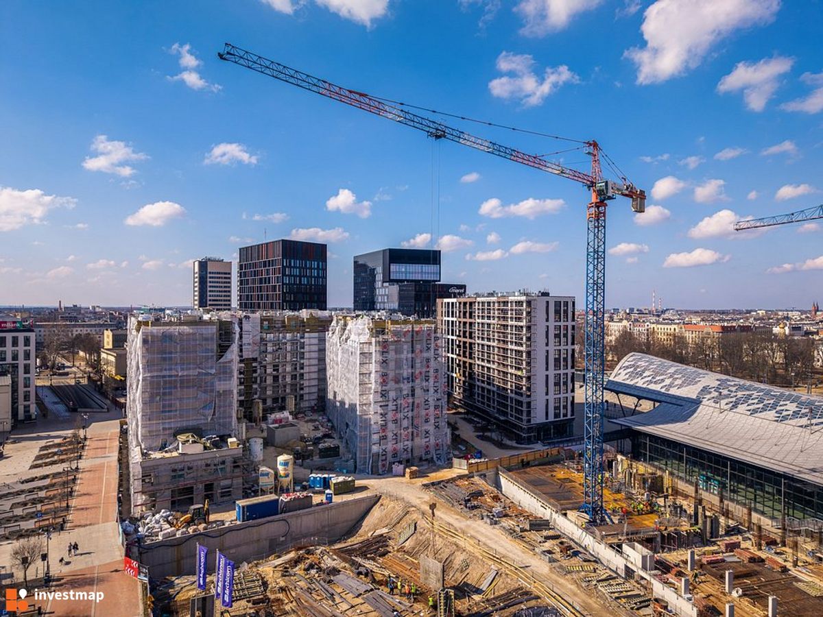 Zdjęcie Flow fot. Orzech 