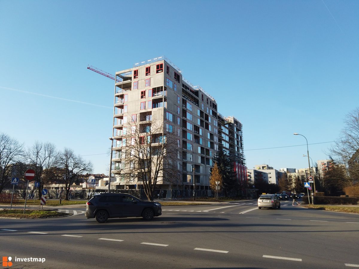 Zdjęcie Gigant fot. Damian Daraż 