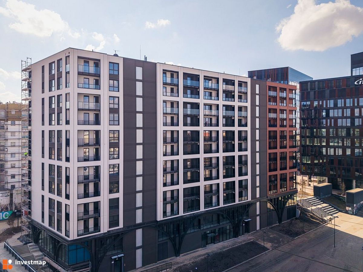 Zdjęcie Flow fot. Orzech 