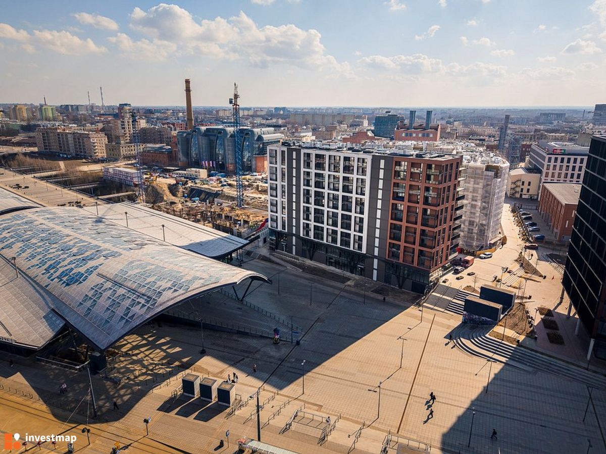 Zdjęcie Flow fot. Orzech 