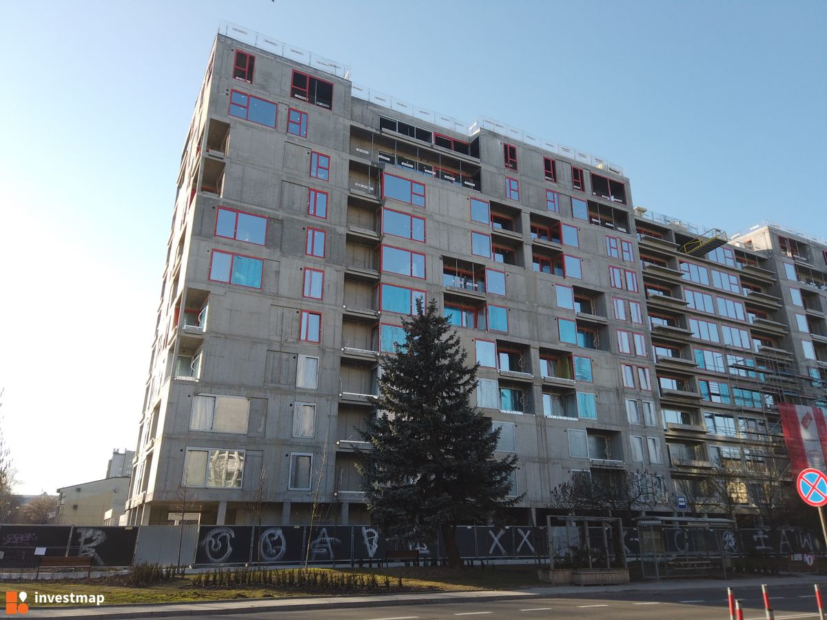 Zdjęcie Gigant fot. Damian Daraż 