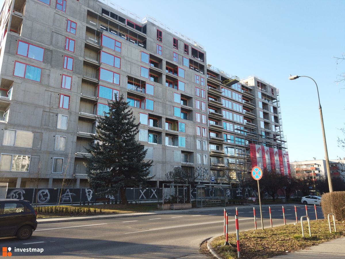 Zdjęcie Gigant fot. Damian Daraż 