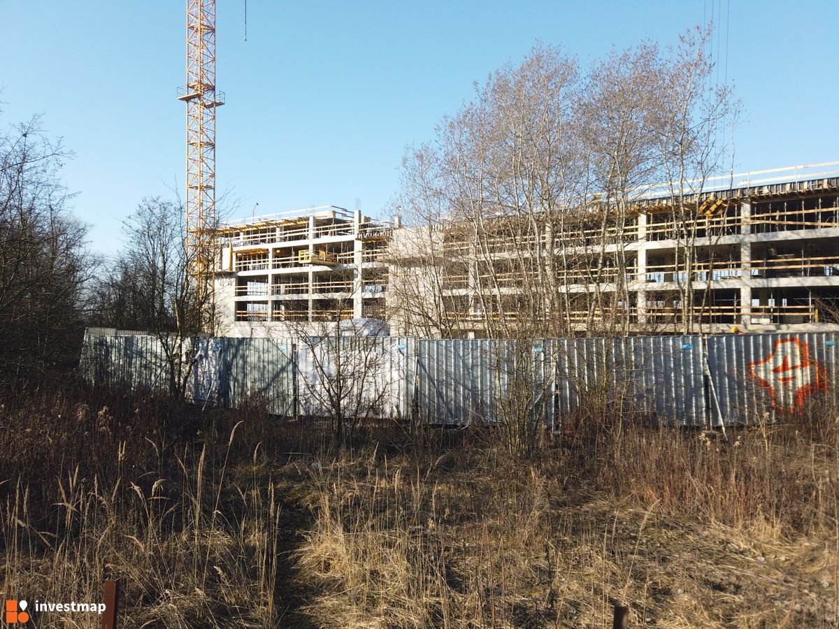 Zdjęcie Magazyn fot. Damian Daraż 