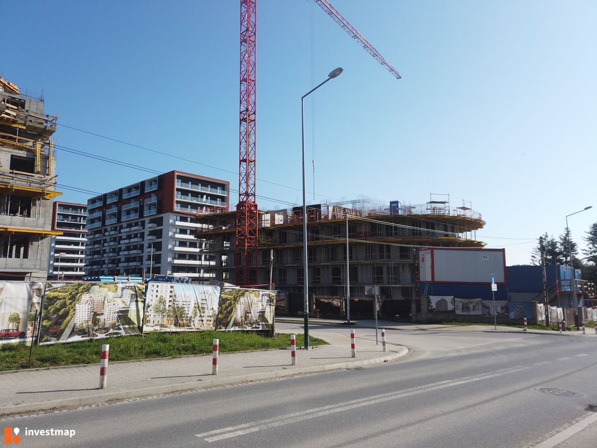 Zdjęcie Drago fot. Damian Daraż 