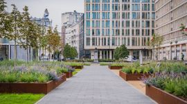 Nowe Centrum Warszawy: Nowa zielona odsłona Placu Powstańców Warszawy [ZDJĘCIA]