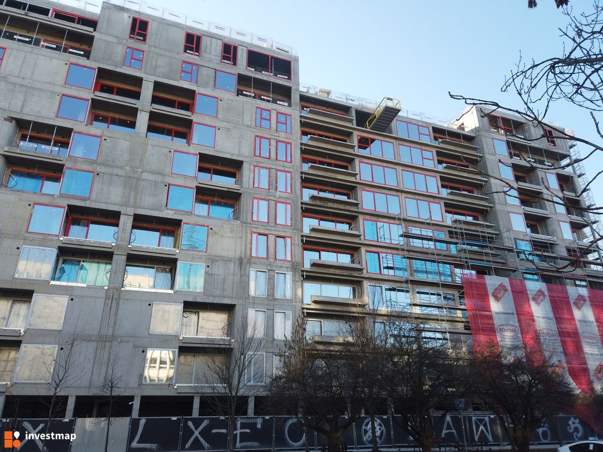 Zdjęcie Gigant fot. Damian Daraż 