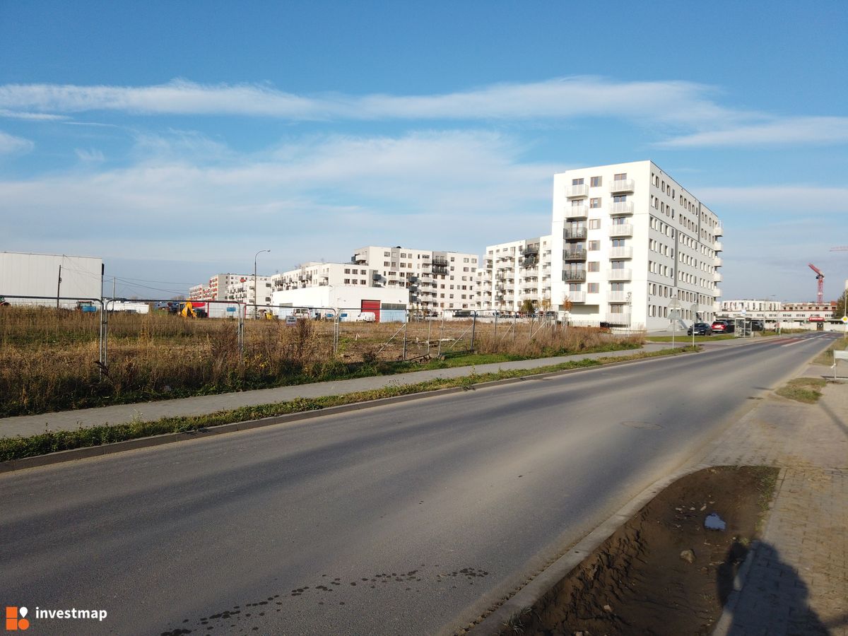 Zdjęcie Centralna Vita fot. Damian Daraż 