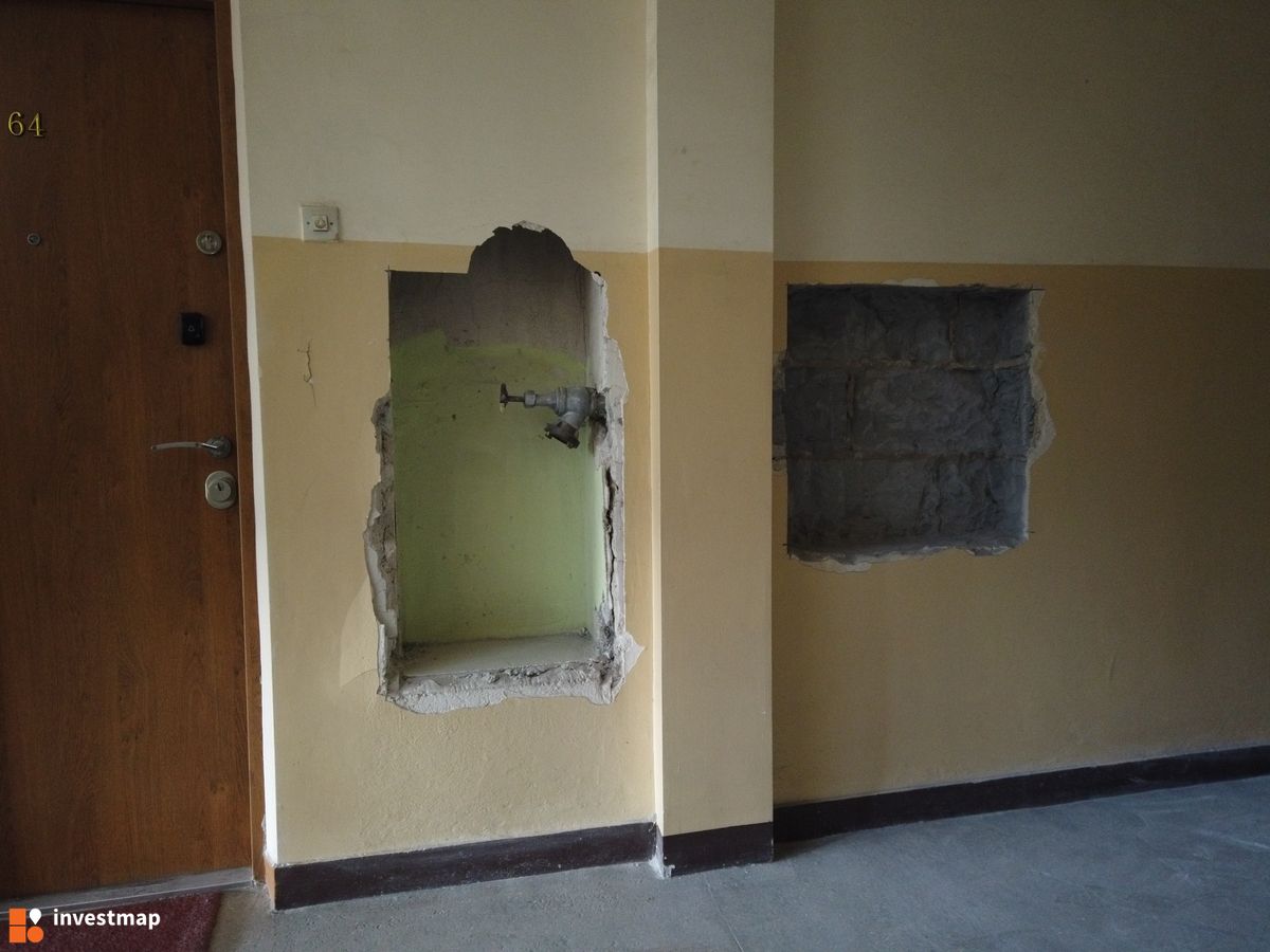 Zdjęcie Jarzębiny 30 fot. Damian Daraż 