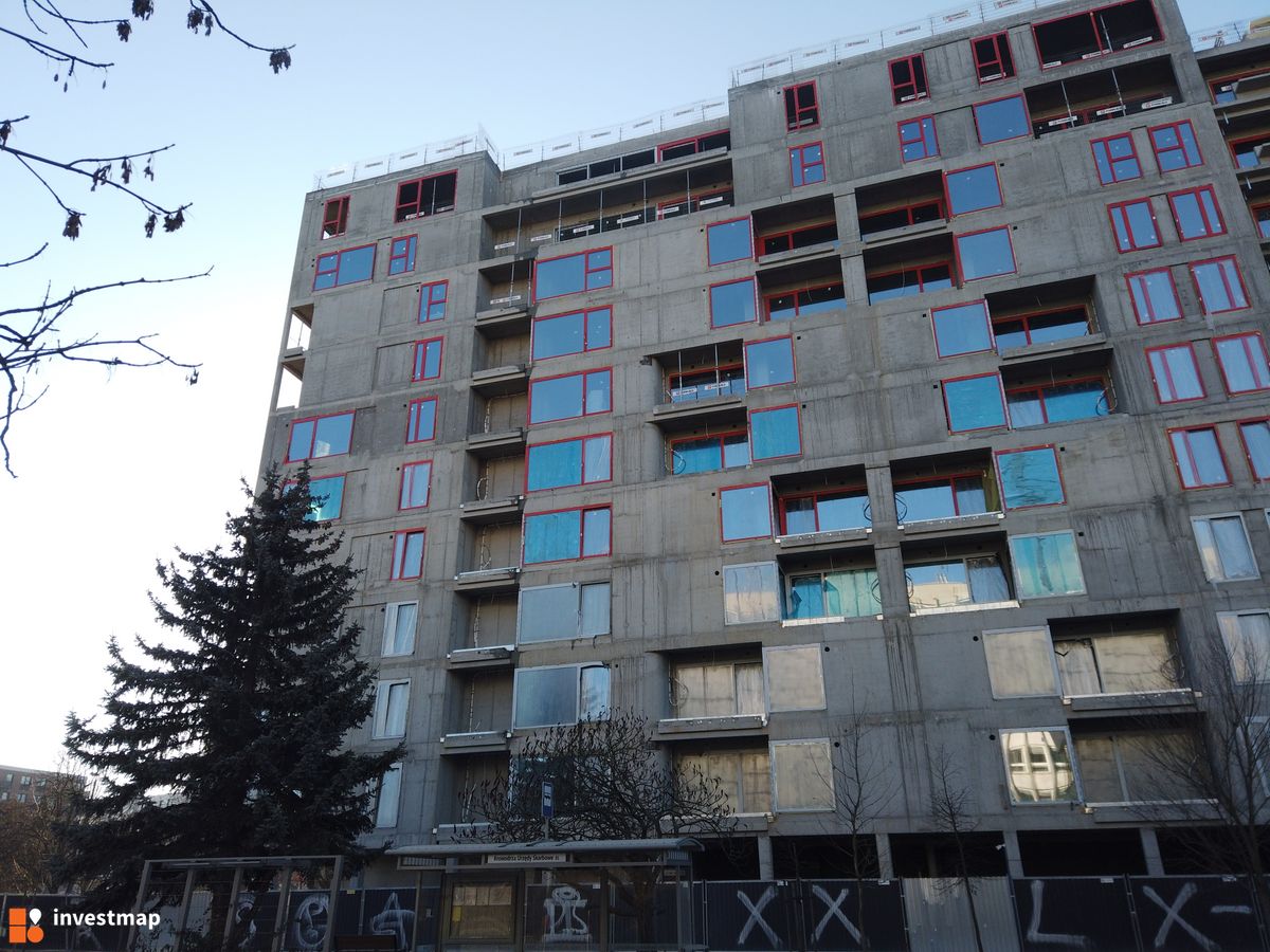 Zdjęcie Gigant fot. Damian Daraż 