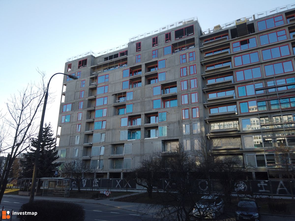 Zdjęcie Gigant fot. Damian Daraż 