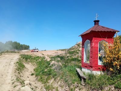 fot. Orzech