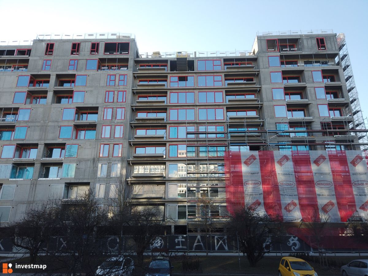 Zdjęcie Gigant fot. Damian Daraż 