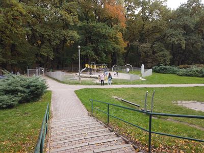 fot. Damian Daraż