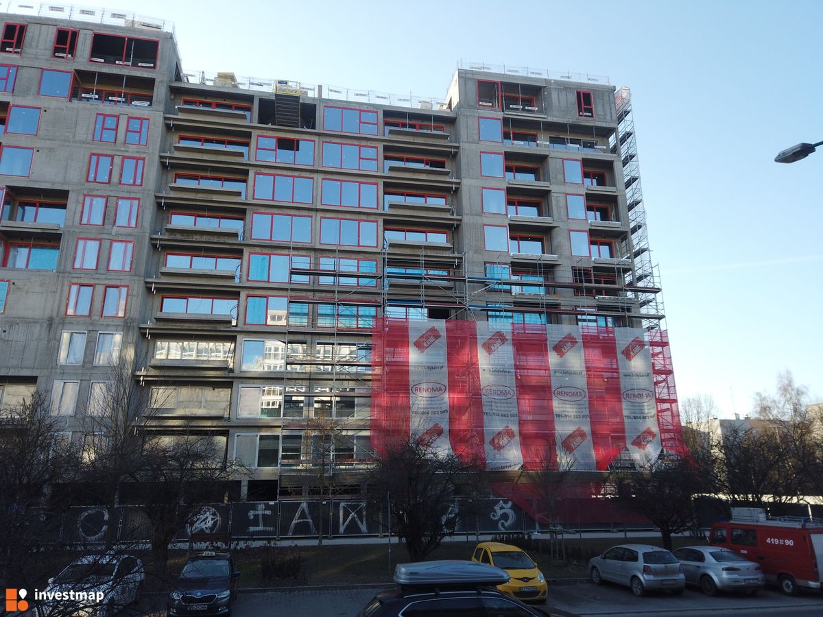 Zdjęcie Gigant fot. Damian Daraż 