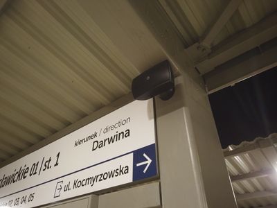 Damian Daraż
