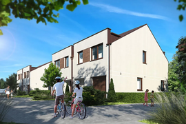 Domy Wilkszyńska 65